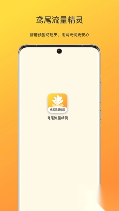 鸢尾流量精灵图4