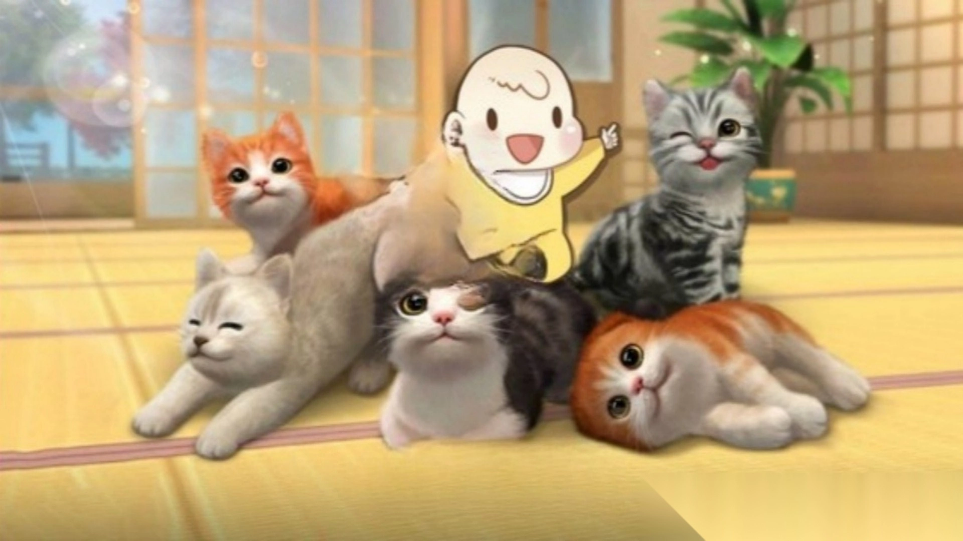 猫咪奶奶开世记3