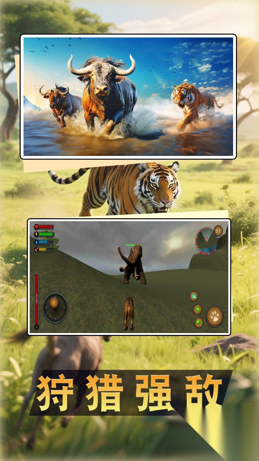 疯狂动物冒险-图2