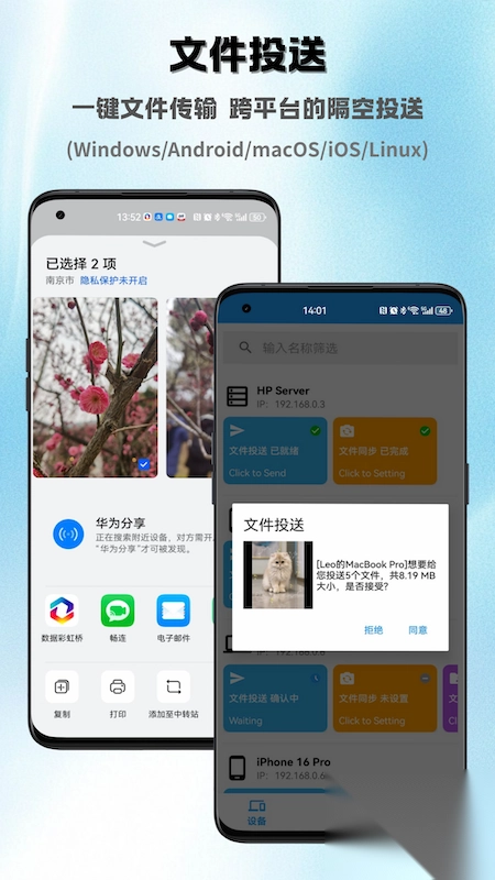 数据彩虹桥