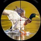 鸟类狩猎狙击手射击