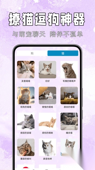 手机猫狗交流通