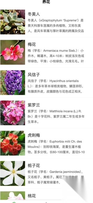 乐享花苑