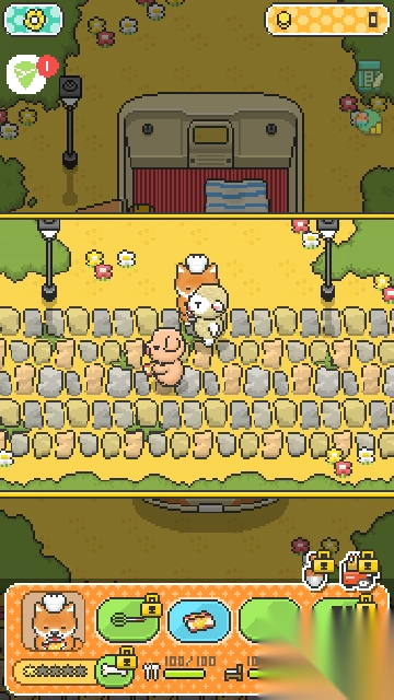 小狗烹饪厨师图3