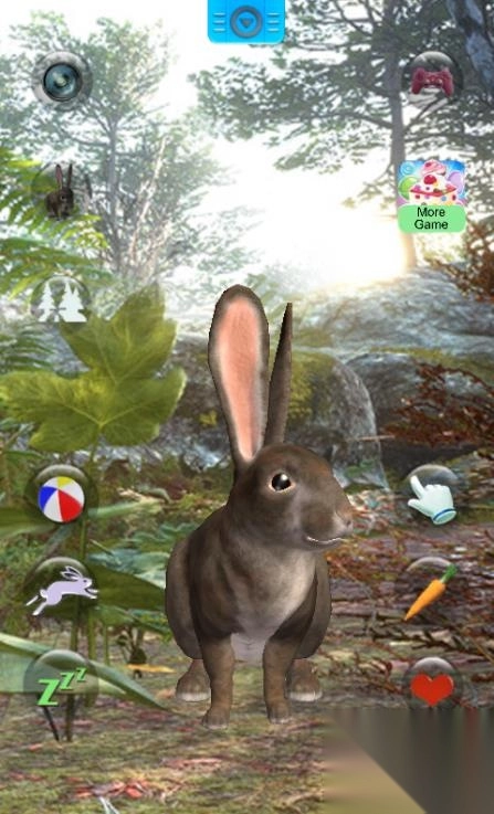 说话的兔子截图3