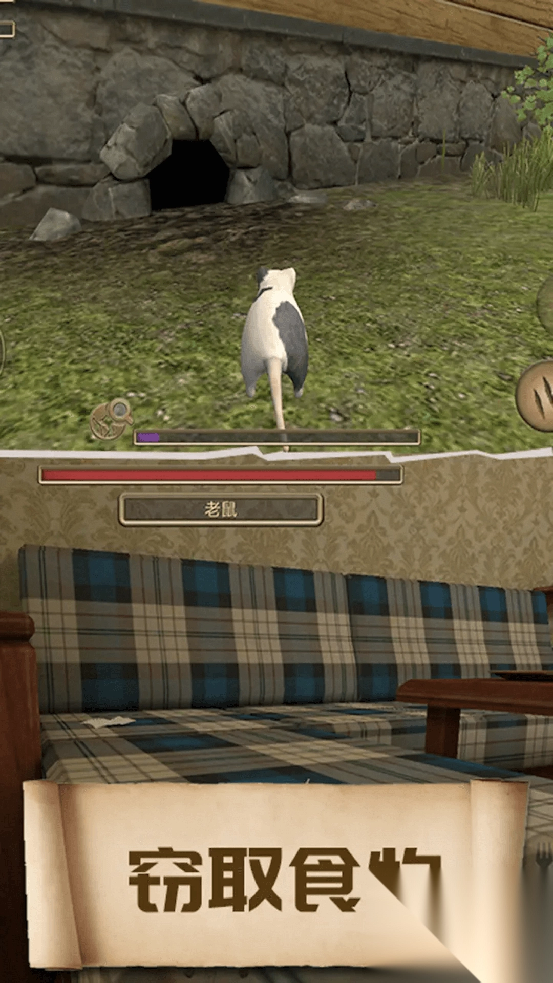 老鼠生存模拟(1)