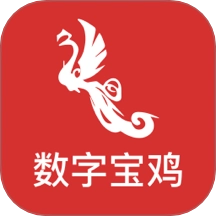 数字宝鸡