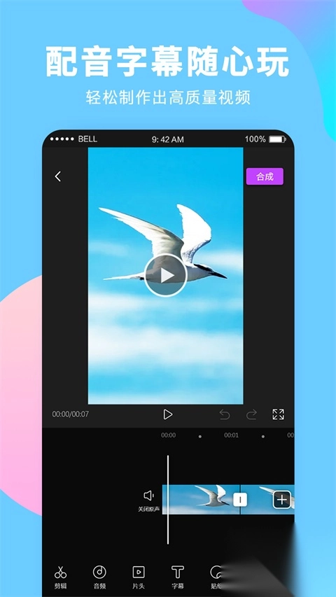 录屏大师专业版