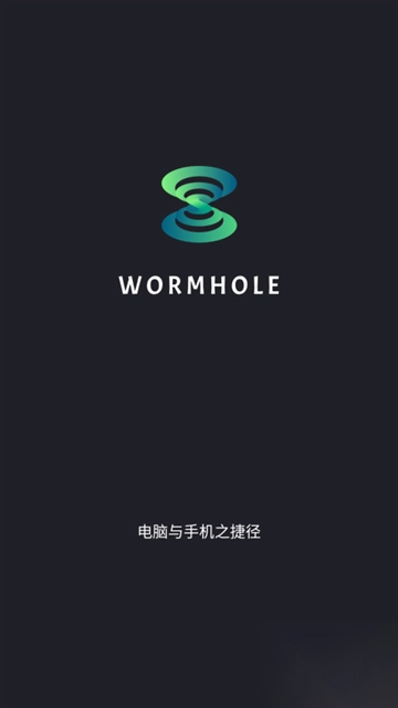 虫洞Wormhole