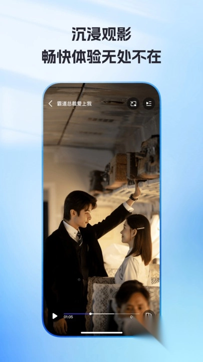 免费隐私视频播放器