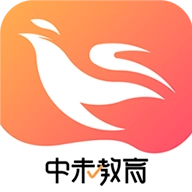 中未教育