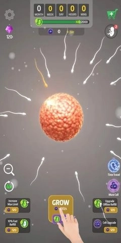 人类进化史