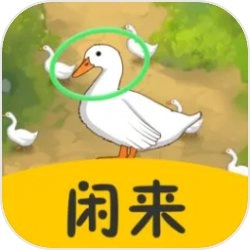 闲来