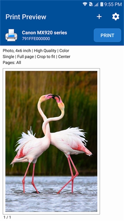 NokoPrint手机打印(4)