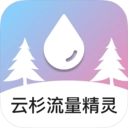 云杉流量精灵