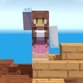 艾利克斯的世界 v1.1