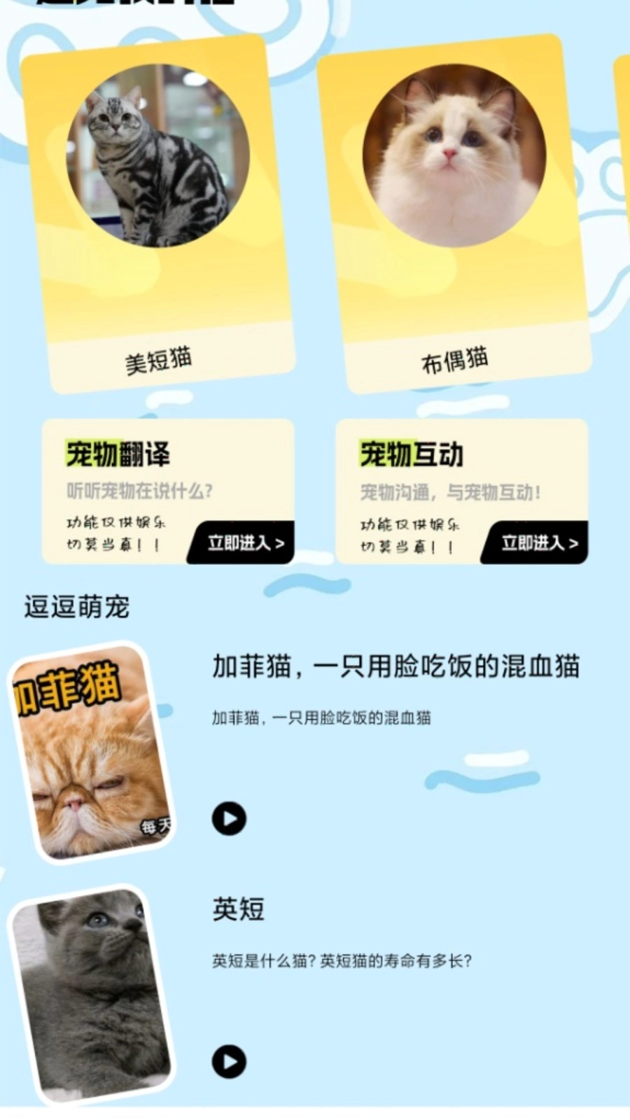 我的猫翻译截图3