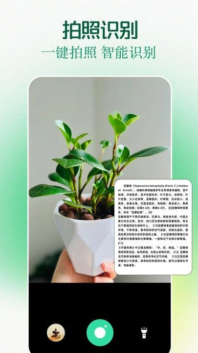 clash工具箱