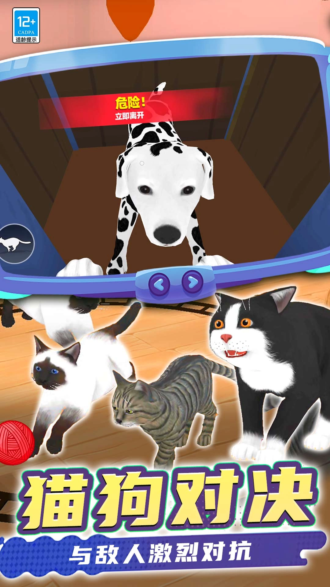 猫咪是我