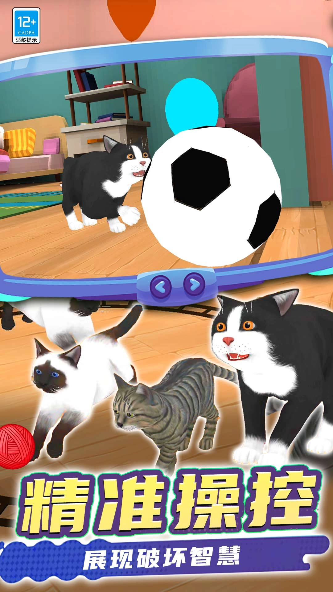 猫咪是我