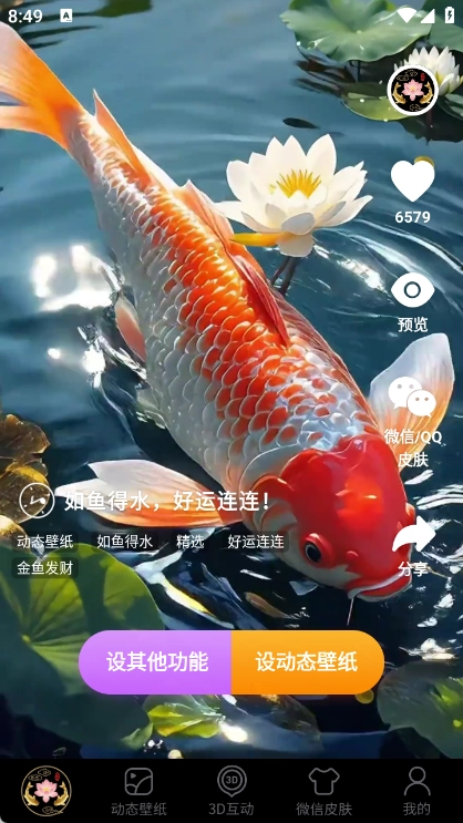 荷花锦鲤壁纸