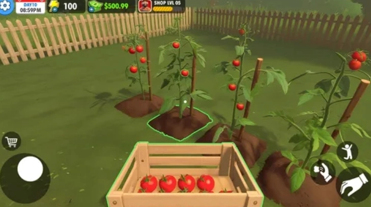 农场超市模拟器(1)