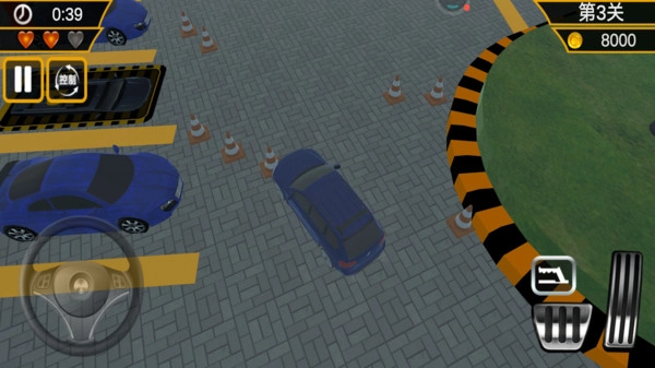 真实模拟停车3D(3)