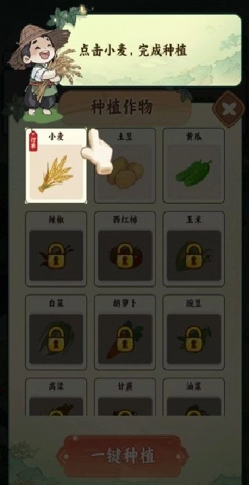 我家菜园子