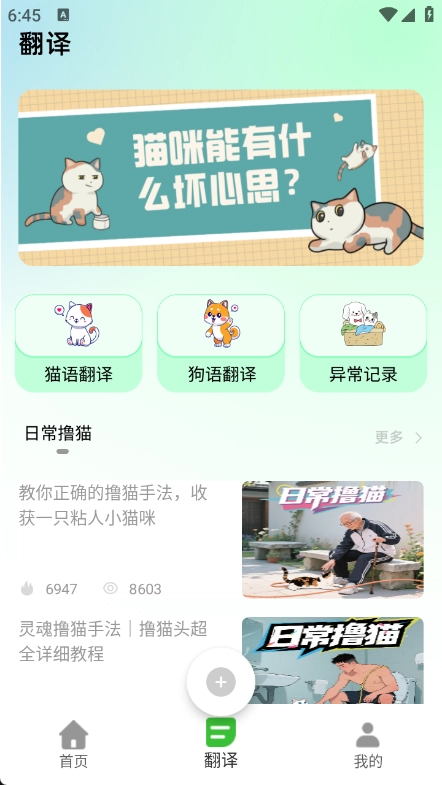 猫语空间-图1