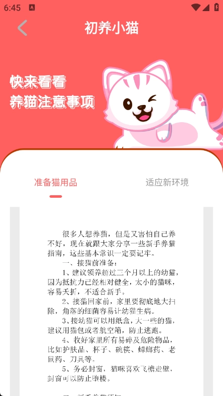 猫语空间-图2