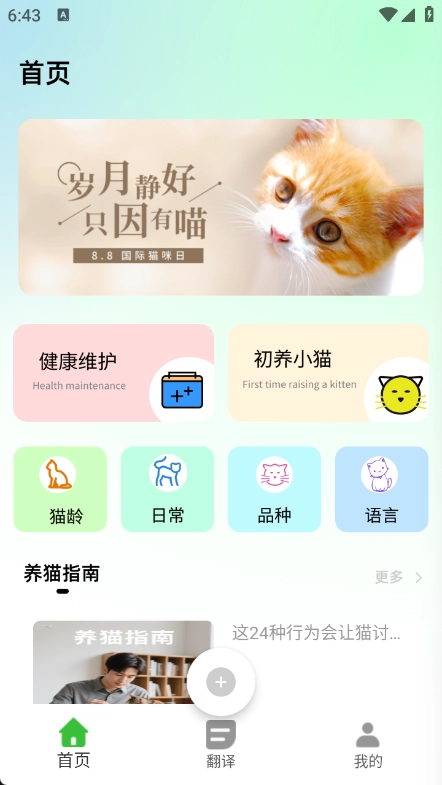 猫语空间-图3