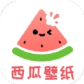 西瓜壁纸助手 v1.0.1
