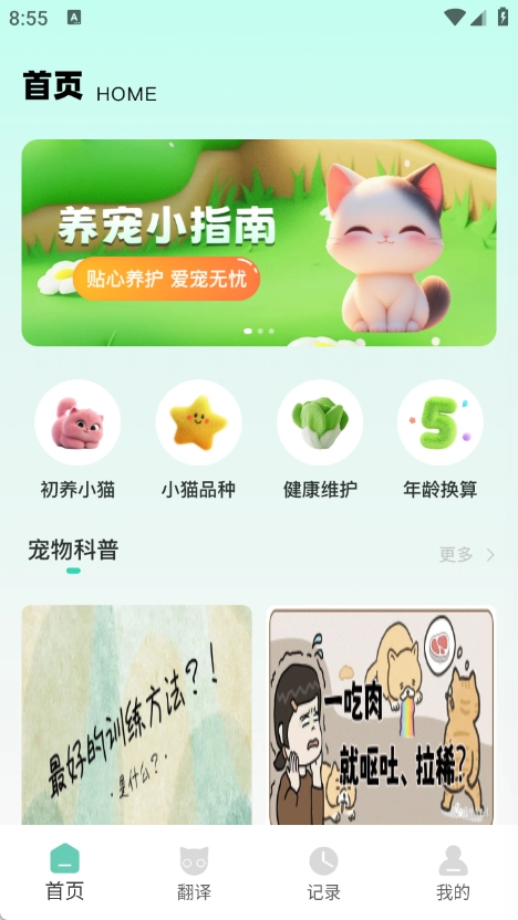 游猫猫图4