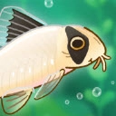 池趣养鱼