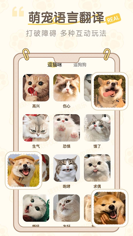 猫狗语翻译助手3