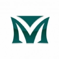mtok记账