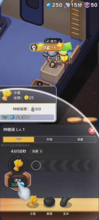家园特快