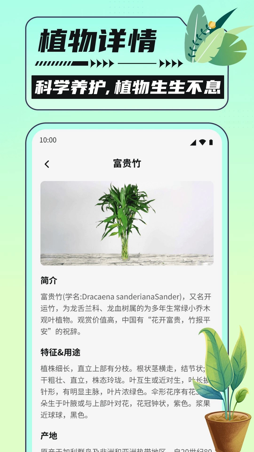银杏助手大字版截图1