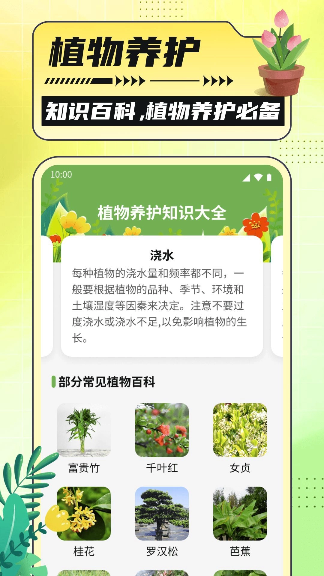 银杏助手大字版截图3