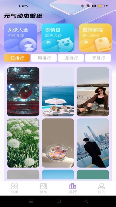 元汽动态壁纸图1