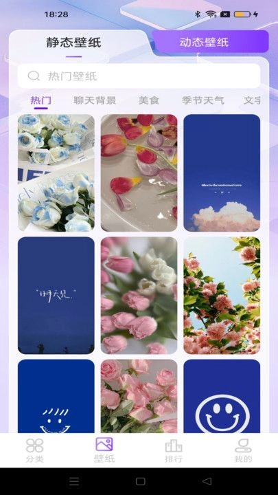 元汽动态壁纸图3