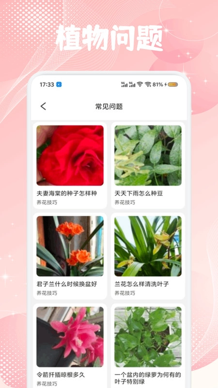 花苞百科-图2