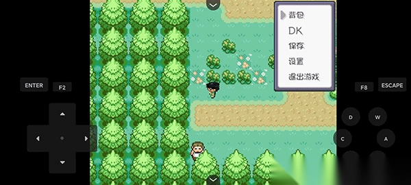 口袋妖怪燃之智汉化版图4