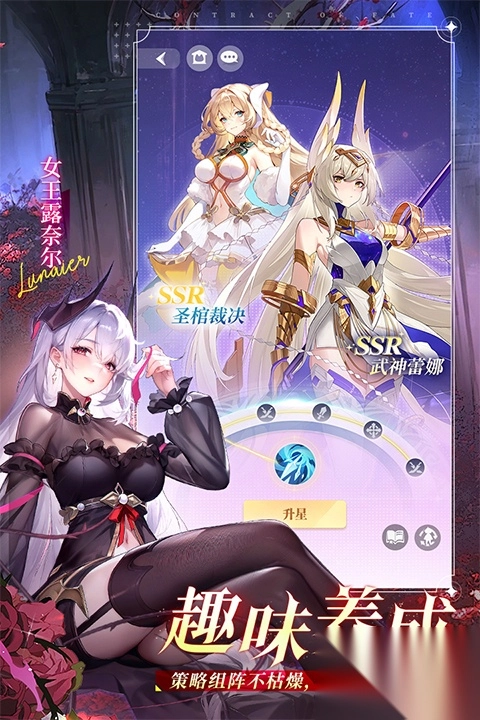 命运圣契(4)
