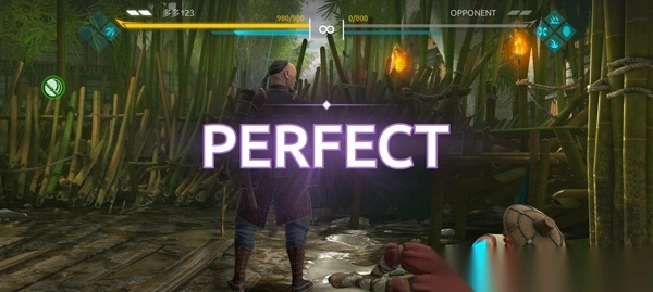 暗影格斗4正版(5)