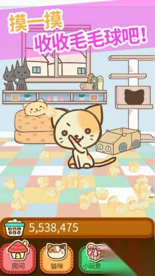 猫咪的毛官方版3