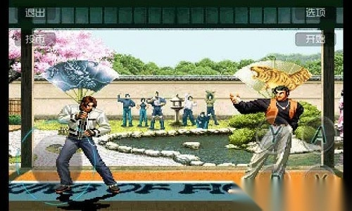 拳皇2002魔幻2免费版图4