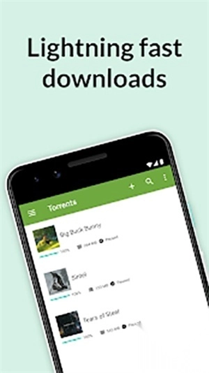 utorrent绿色版图3