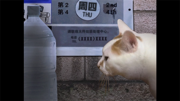 翌日猫之怪奇谭游戏手机版图4