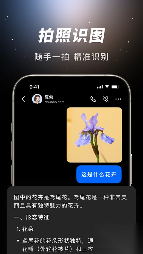 豆包ai(2)
